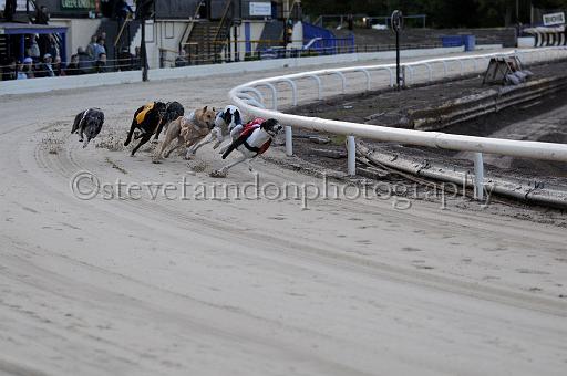 mayaction_039.JPG - (C)S.FARNDON
