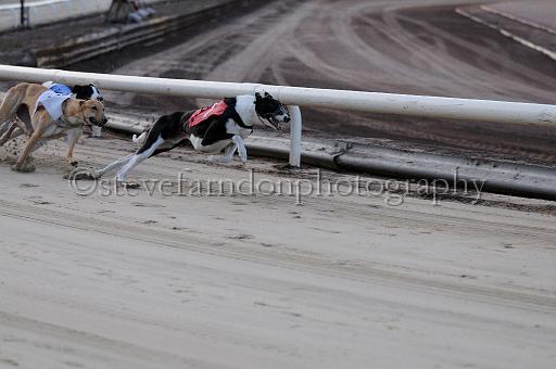 mayaction_042.JPG - (C)S.FARNDON