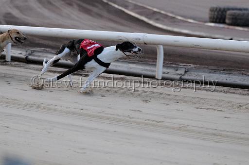 mayaction_043.JPG - (C)S.FARNDON