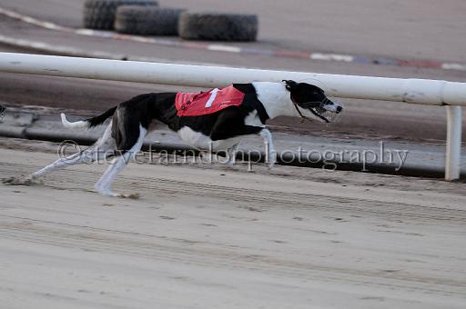 mayaction_044.JPG - (C)S.FARNDON
