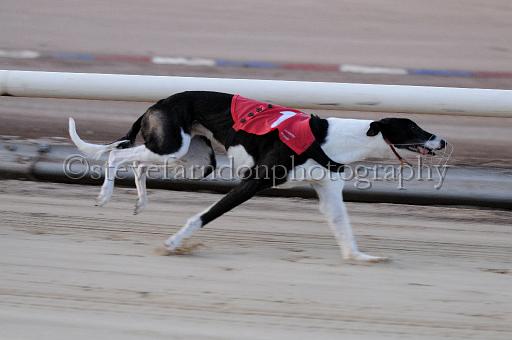 mayaction_045.JPG - (C)S.FARNDON