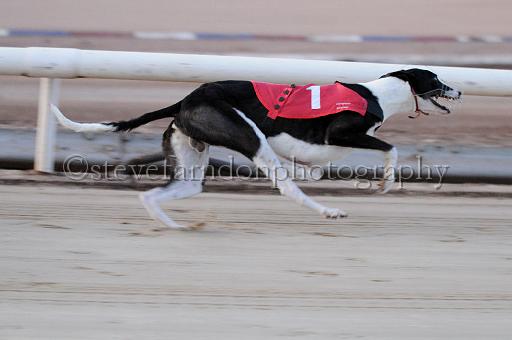 mayaction_046.JPG - (C)S.FARNDON