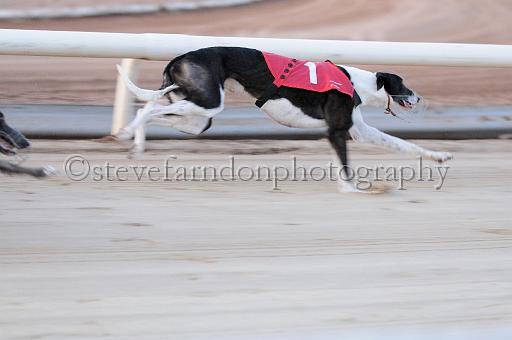 mayaction_047.JPG - (C)S.FARNDON
