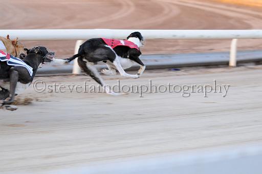mayaction_048.JPG - (C)S.FARNDON