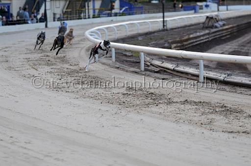 mayaction_049.JPG - (C)S.FARNDON