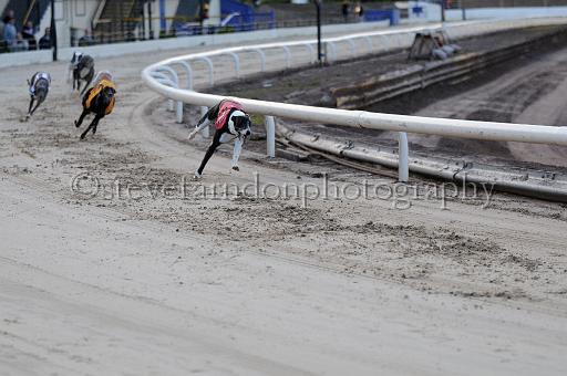 mayaction_050.JPG - (C)S.FARNDON