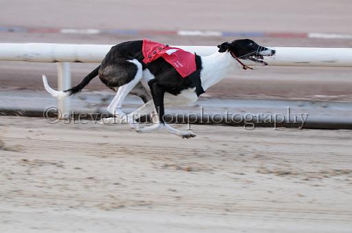 mayaction_056.JPG - (C)S.FARNDON