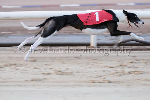 mayaction_057.JPG - (C)S.FARNDON