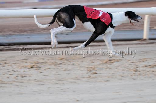 mayaction_058.JPG - (C)S.FARNDON