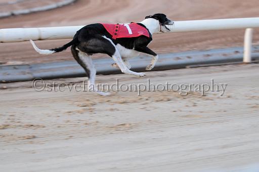 mayaction_059.JPG - (C)S.FARNDON