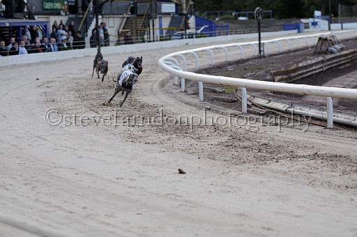 mayaction_061.JPG - (C)S.FARNDON