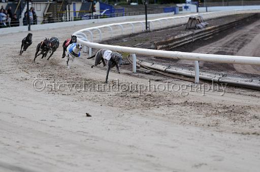 mayaction_063.JPG - (C)S.FARNDON