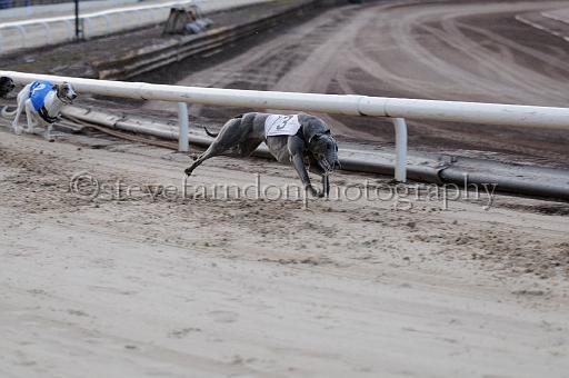 mayaction_065.JPG - (C)S.FARNDON