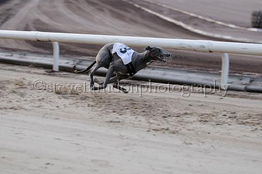 mayaction_066.JPG - (C)S.FARNDON