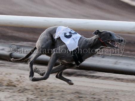 mayaction_067.jpg - (C)S.FARNDON