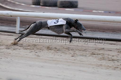 mayaction_068.JPG - (C)S.FARNDON