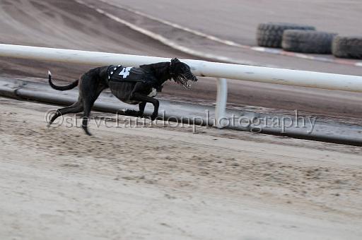 mayaction_075.JPG - (C)S.FARNDON