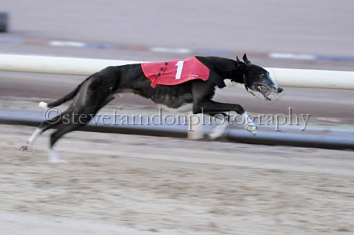 mayaction_109.JPG - (C)S.FARNDON