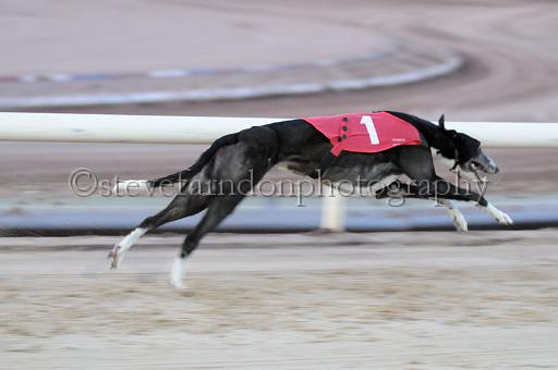 mayaction_111.JPG - (C)S.FARNDON