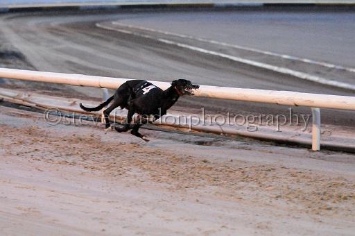 mayaction_115.JPG - (C)S.FARNDON