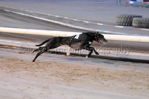 mayaction_116.JPG - (C)S.FARNDON