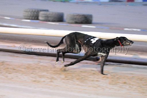 mayaction_117.JPG - (C)S.FARNDON