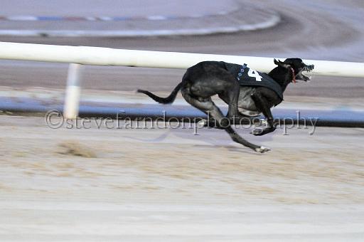 mayaction_118.JPG - (C)S.FARNDON