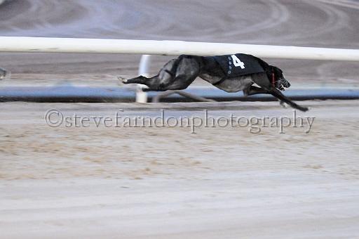 mayaction_119.JPG - (C)S.FARNDON