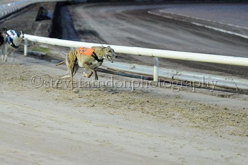 mayaction_122.JPG - (C)S.FARNDON