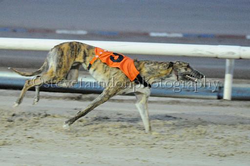 mayaction_126.JPG - (C)S.FARNDON