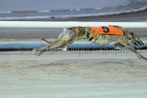 mayaction_128.JPG - (C)S.FARNDON