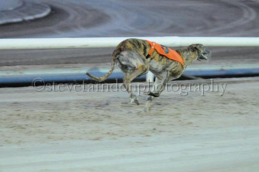 mayaction_129.JPG - (C)S.FARNDON