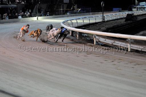 mayaction_130.JPG - (C)S.FARNDON