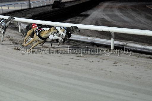 mayaction_133.JPG - (C)S.FARNDON