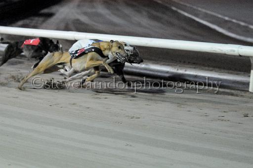 mayaction_134.JPG - (C)S.FARNDON