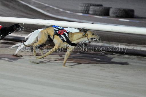 mayaction_135.JPG - (C)S.FARNDON