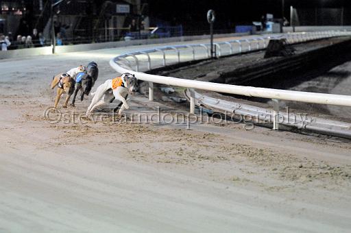mayaction_139.JPG - (C)S.FARNDON