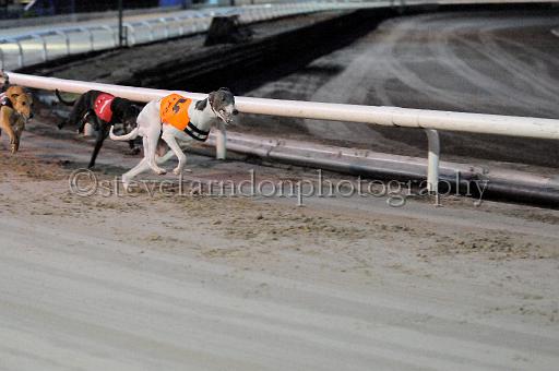 mayaction_141.JPG - (C)S.FARNDON