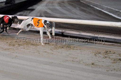 mayaction_142.JPG - (C)S.FARNDON