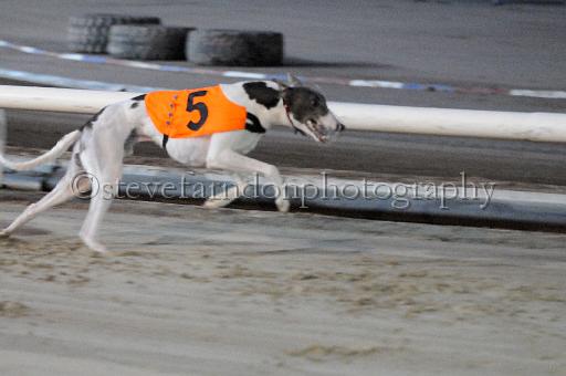 mayaction_144.JPG - (C)S.FARNDON