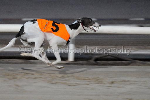 mayaction_146.JPG - (C)S.FARNDON