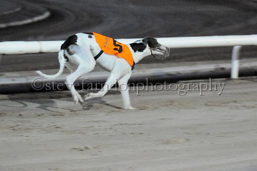 mayaction_148.JPG - (C)S.FARNDON