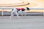 mayaction_011