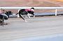 mayaction_048