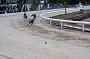 mayaction_061