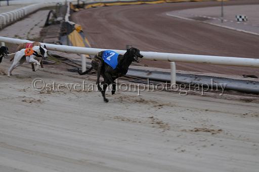 mayaction_170.JPG - (C)S.FARNDON