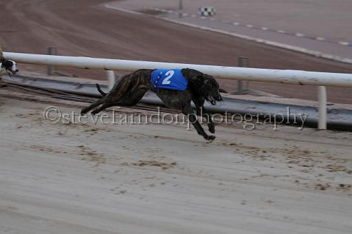 mayaction_171.JPG - (C)S.FARNDON