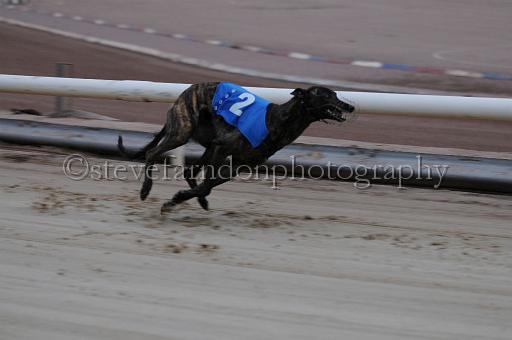 mayaction_172.JPG - (C)S.FARNDON