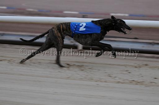 mayaction_173.JPG - (C)S.FARNDON