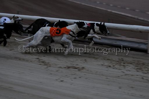 mayaction_176.jpg - (C)S.FARNDON